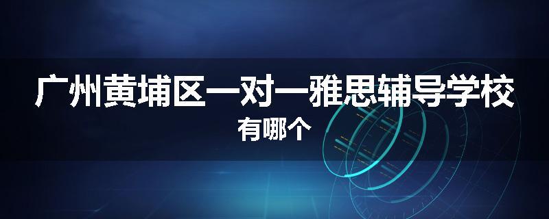 广州黄埔区一对一雅思辅导学校有哪个