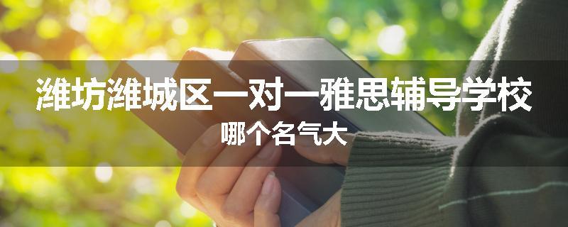 潍坊潍城区一对一雅思辅导学校哪个名气大