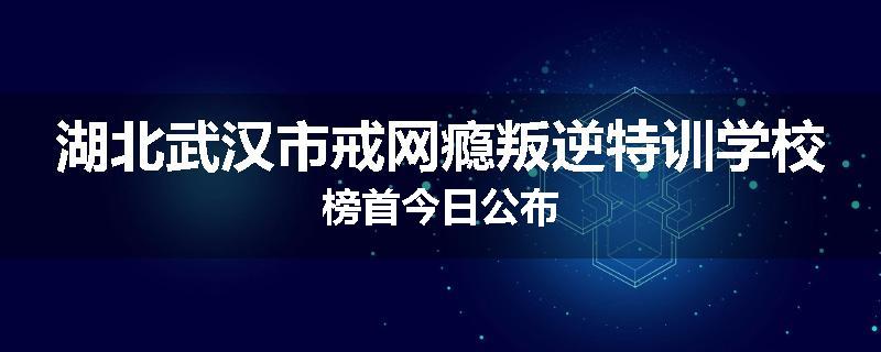 湖北武汉市戒网瘾叛逆特训学校榜首今日公布