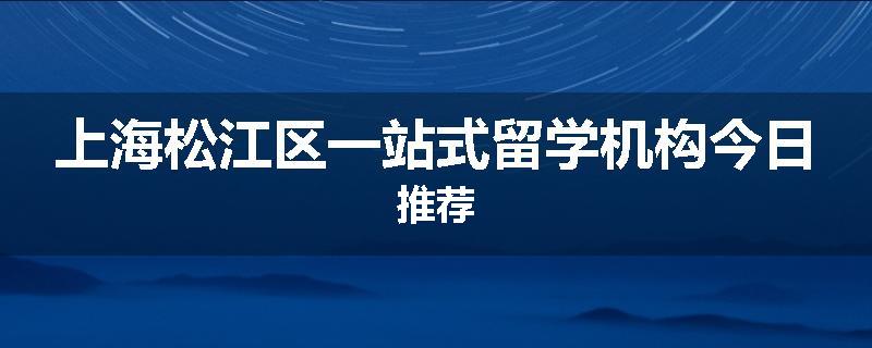 上海松江区一站式留学机构今日推荐
