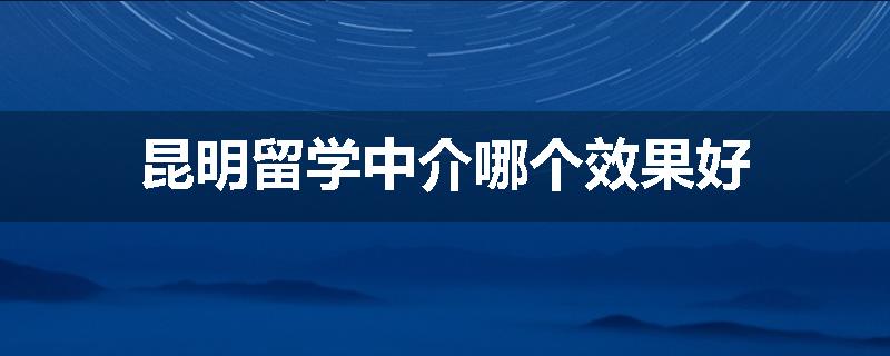 昆明留学中介哪个效果好