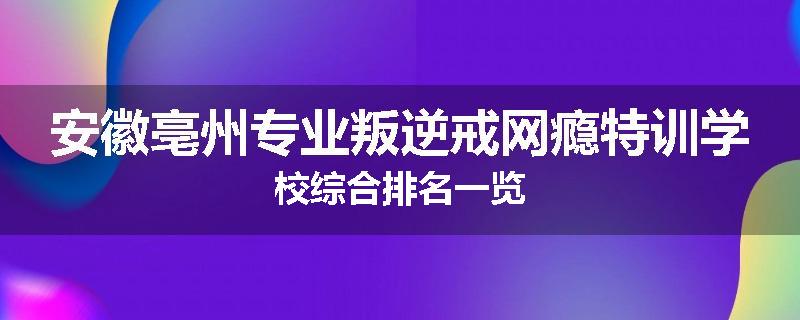 安徽亳州专业叛逆戒网瘾特训学校综合排名一览