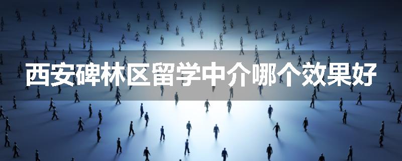 西安碑林区留学中介哪个效果好