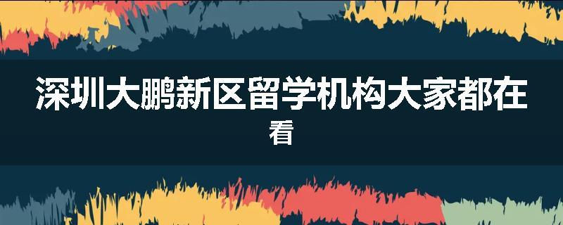 深圳大鹏新区留学机构大家都在看