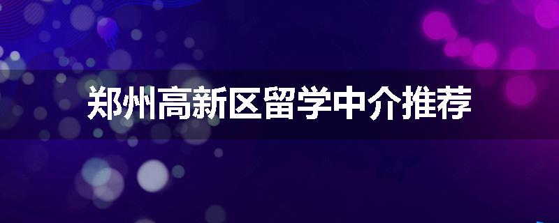 郑州高新区留学中介推荐
