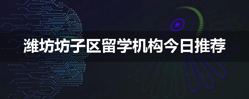 潍坊坊子区留学机构今日推荐