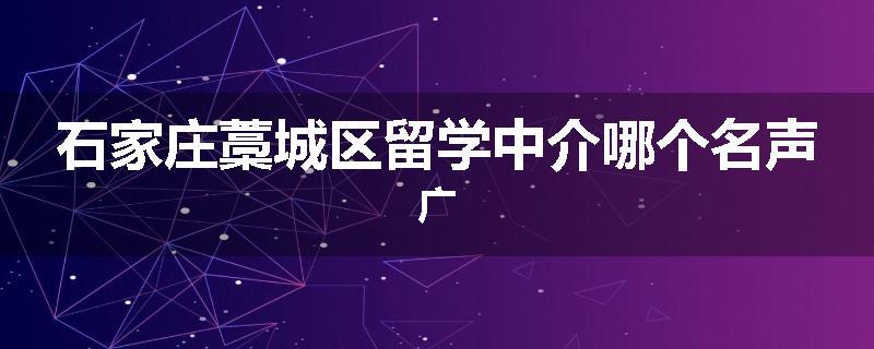 石家庄藁城区留学中介哪个名声广