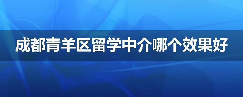 成都青羊区留学中介哪个效果好
