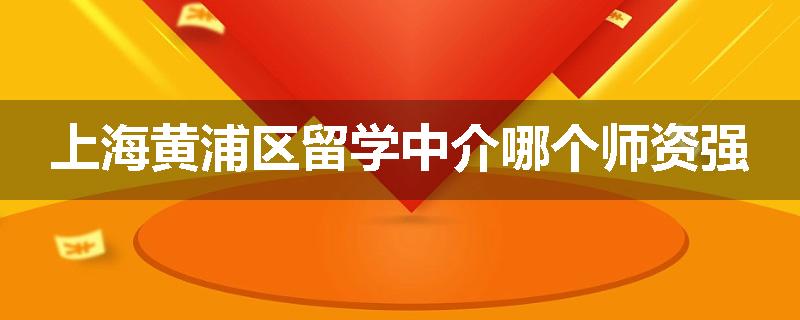 上海黄浦区留学中介哪个师资强