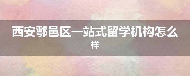 西安鄠邑区一站式留学机构怎么样