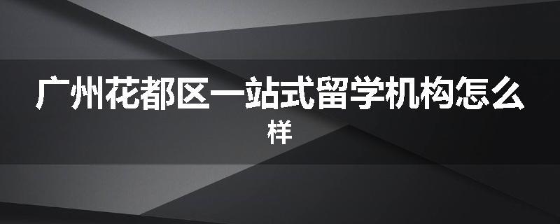 广州花都区一站式留学机构怎么样