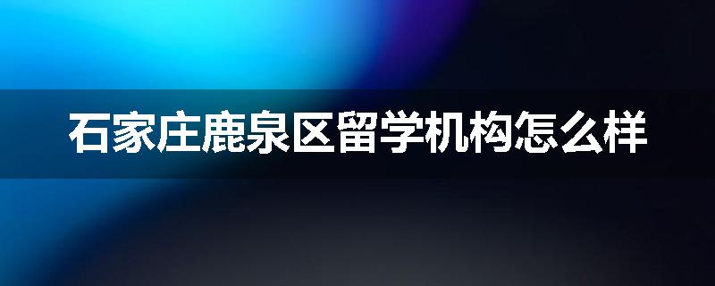 石家庄鹿泉区留学机构怎么样