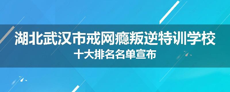 湖北武汉市戒网瘾叛逆特训学校十大排名名单宣布