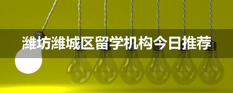 潍坊潍城区留学机构今日推荐