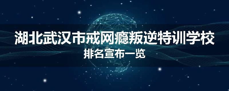 湖北武汉市戒网瘾叛逆特训学校排名宣布一览