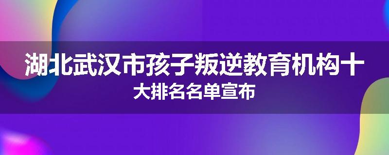 湖北武汉市孩子叛逆教育机构十大排名名单宣布