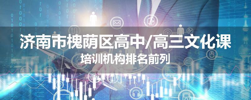 济南市槐荫区高中/高三文化课培训机构排名前列