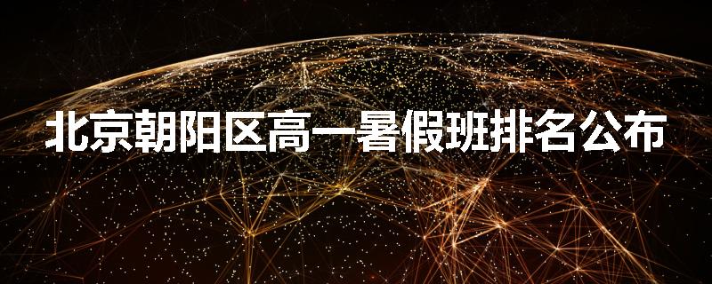 北京朝阳区高一暑假班排名公布