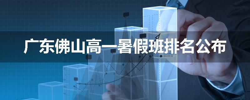 广东佛山高一暑假班排名公布