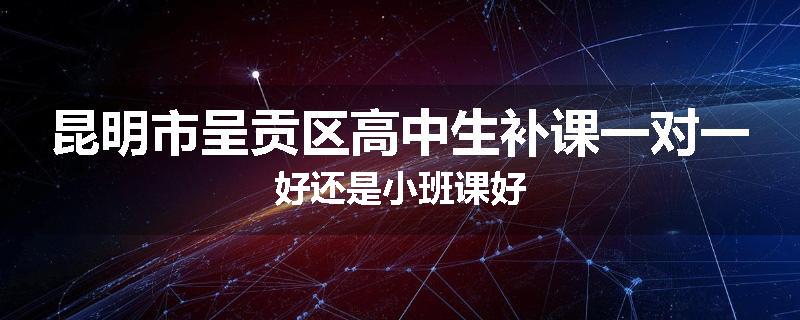 昆明市呈贡区高中生补课一对一好还是小班课好