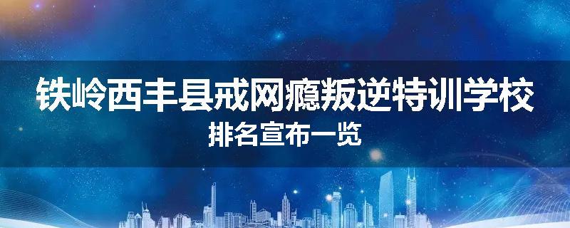 铁岭西丰县戒网瘾叛逆特训学校排名宣布一览