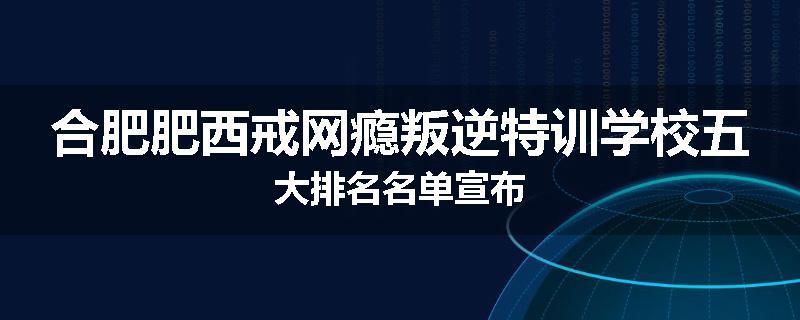 合肥肥西戒网瘾叛逆特训学校五大排名名单宣布