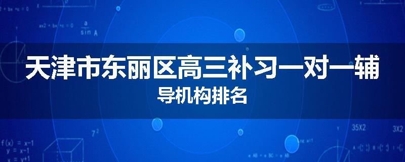 天津市东丽区高三补习一对一辅导机构排名