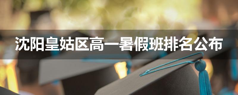 沈阳皇姑区高一暑假班排名公布