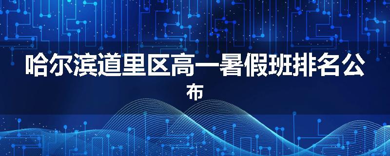 哈尔滨道里区高一暑假班排名公布