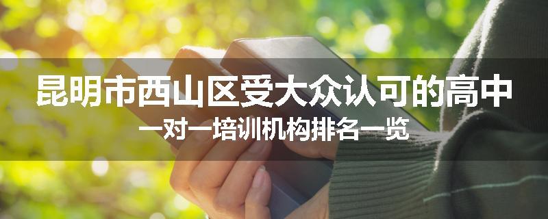 昆明市西山区受大众认可的高中一对一培训机构排名一览