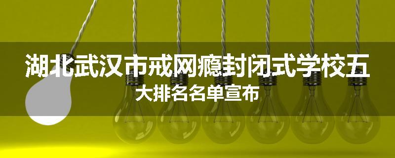 湖北武汉市戒网瘾封闭式学校五大排名名单宣布