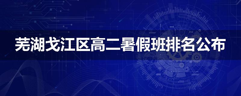 芜湖戈江区高二暑假班排名公布