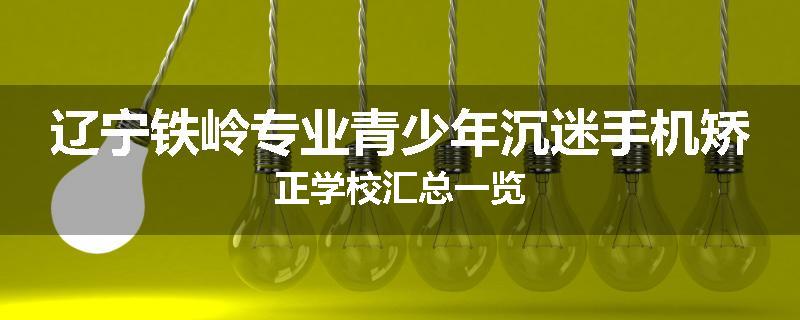 辽宁铁岭专业青少年沉迷手机矫正学校汇总一览