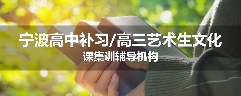 宁波高中补习/高三艺术生文化课集训辅导机构