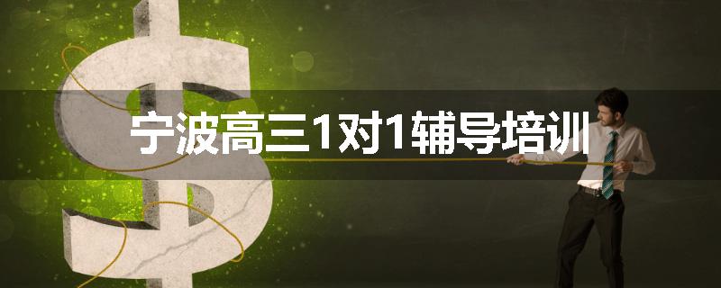 宁波高三1对1辅导培训