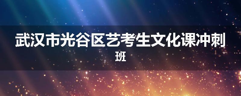 武汉市光谷区艺考生文化课冲刺班