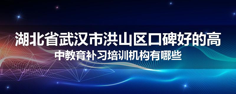 湖北省武汉市洪山区口碑好的高中教育补习培训机构有哪些