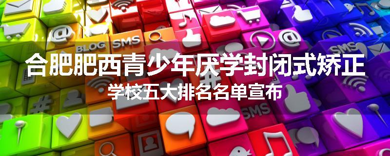 合肥肥西青少年厌学封闭式矫正学校五大排名名单宣布