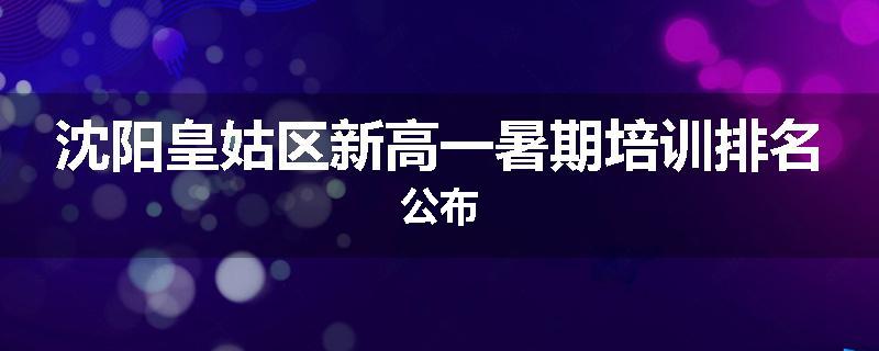 沈阳皇姑区新高一暑期培训排名公布