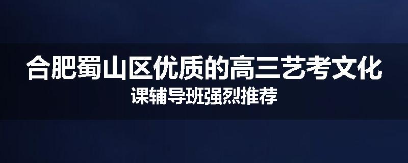 合肥蜀山区优质的高三艺考文化课辅导班强烈推荐