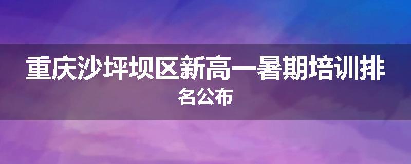 重庆沙坪坝区新高一暑期培训排名公布