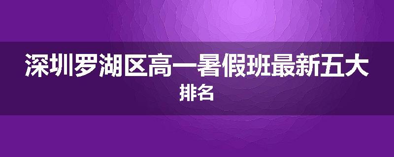 深圳罗湖区高一暑假班最新五大排名