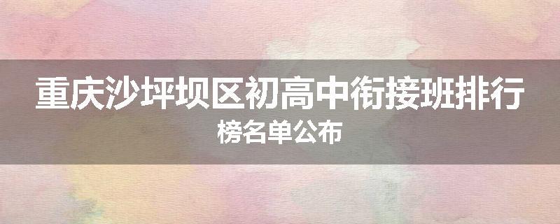 重庆沙坪坝区初高中衔接班排行榜名单公布