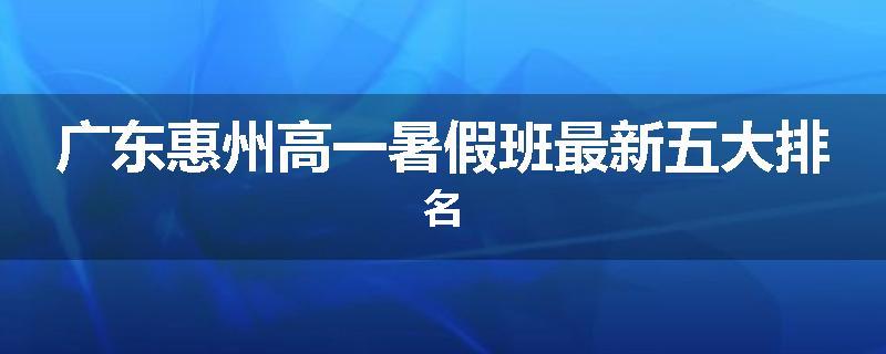 广东惠州高一暑假班最新五大排名