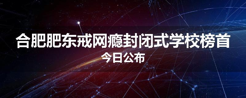 合肥肥东戒网瘾封闭式学校榜首今日公布