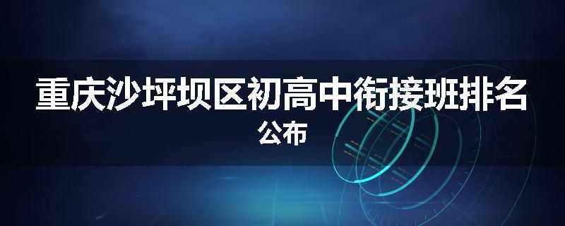 重庆沙坪坝区初高中衔接班排名公布