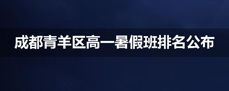 成都青羊区高一暑假班排名公布