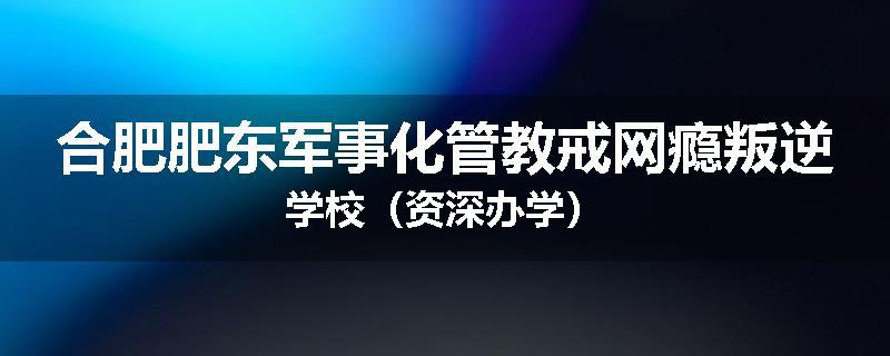 合肥肥东军事化管教戒网瘾叛逆学校（资深办学）
