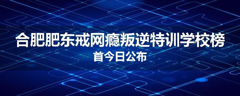 合肥肥东戒网瘾叛逆特训学校榜首今日公布