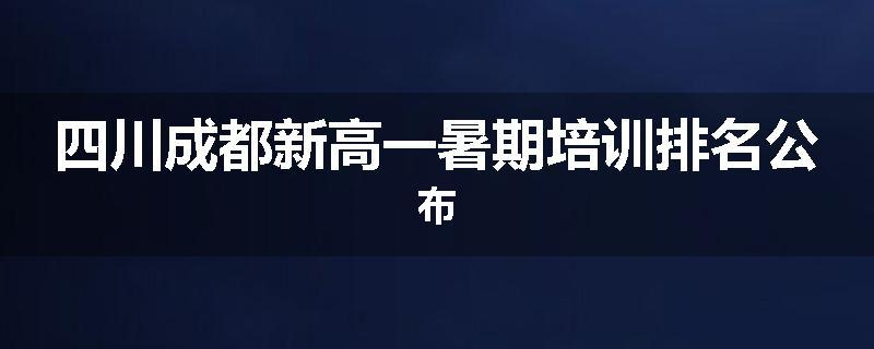 四川成都新高一暑期培训排名公布